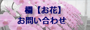 欄【お花】問い合わせ